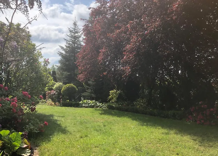 Homestay Willa-polanica *