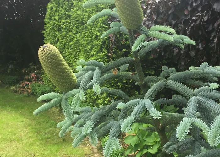 Willa-polanica * Polanica-Zdrój