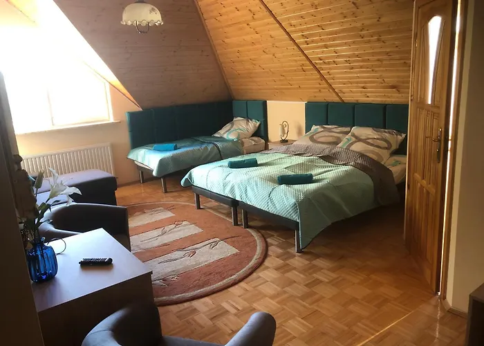 Homestay Willa-polanica