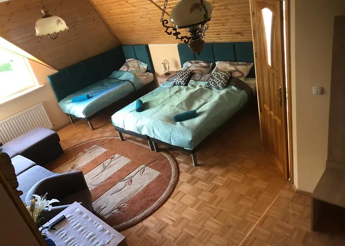 Homestay Willa-polanica *